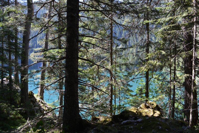 Природные пейзажи разных стран в фотографиях