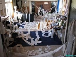 поговорим о кошках