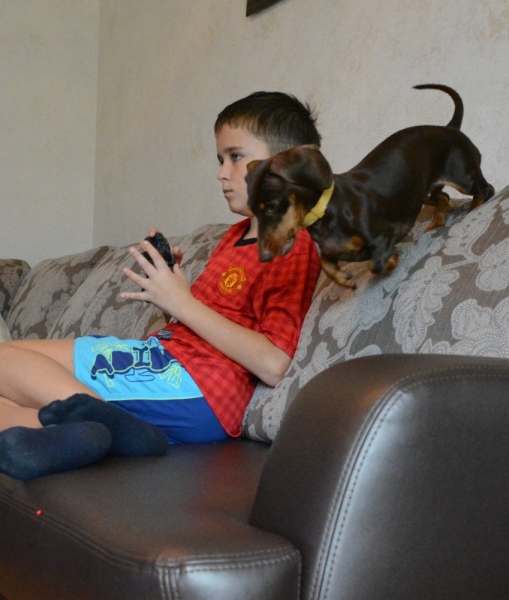 Братья наши меньшие, у кого кто - 2.