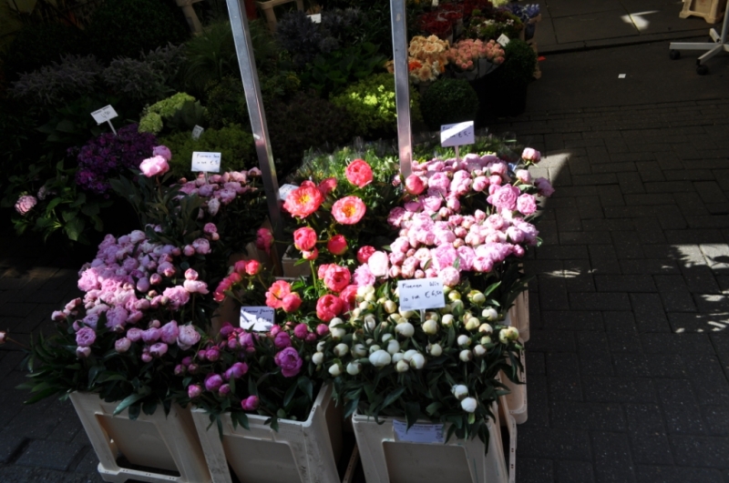 Нидерланды. Амстердам, Зандвурт (Zandvoort). Бельгия. Брюссель. Июль, 2013г.