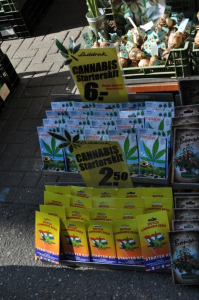 Нидерланды. Амстердам, Зандвурт (Zandvoort). Бельгия. Брюссель. Июль, 2013г.