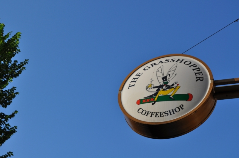 Нидерланды. Амстердам, Зандвурт (Zandvoort). Бельгия. Брюссель. Июль, 2013г.