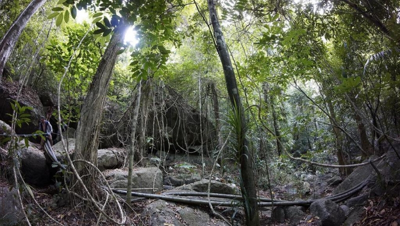 Фридайвинг-путешествие по островам: Тао - Липе - Симиланы