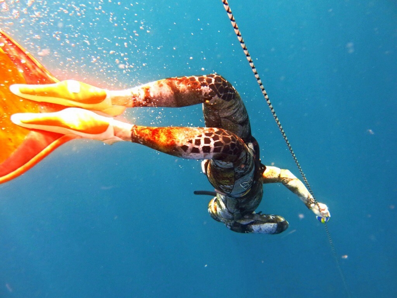 Фридайвинг-путешествие по островам: Тао - Липе - Симиланы