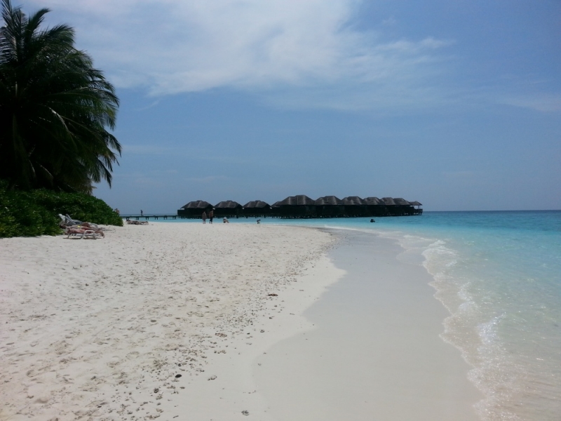 "Экскурсионные Мальдивы": Мале-Виллингили-Маафуши-Фихалхохи-Мале-Хулумале