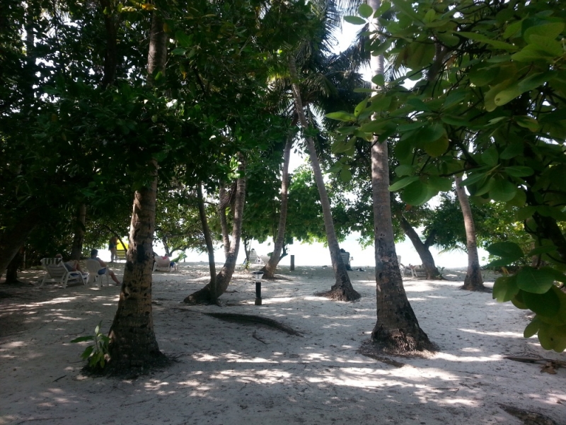 "Экскурсионные Мальдивы": Мале-Виллингили-Маафуши-Фихалхохи-Мале-Хулумале