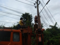 DSC08250.jpg