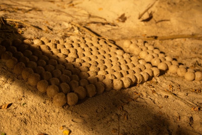 Малазийский  мальДивный островок Lankayan.