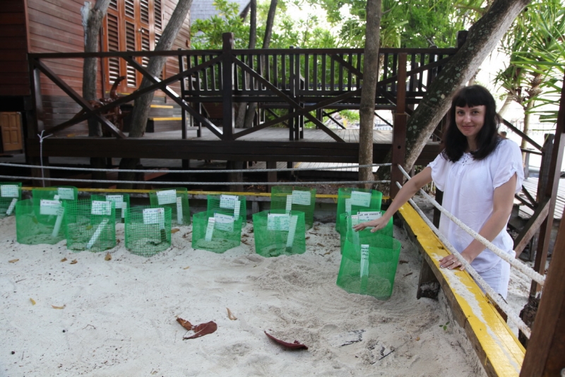 Малазийский  мальДивный островок Lankayan.