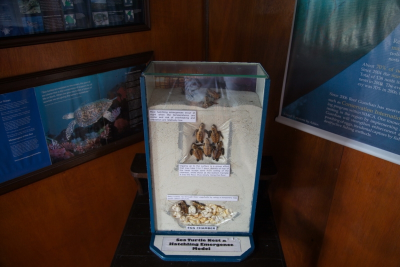 Малазийский  мальДивный островок Lankayan.