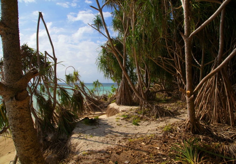 Малазийский  мальДивный островок Lankayan.