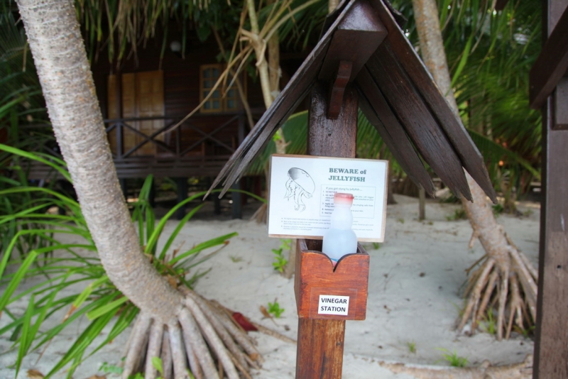 Малазийский  мальДивный островок Lankayan.