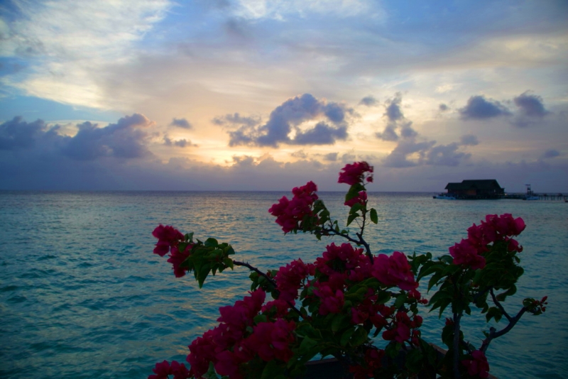 Малазийский  мальДивный островок Lankayan.
