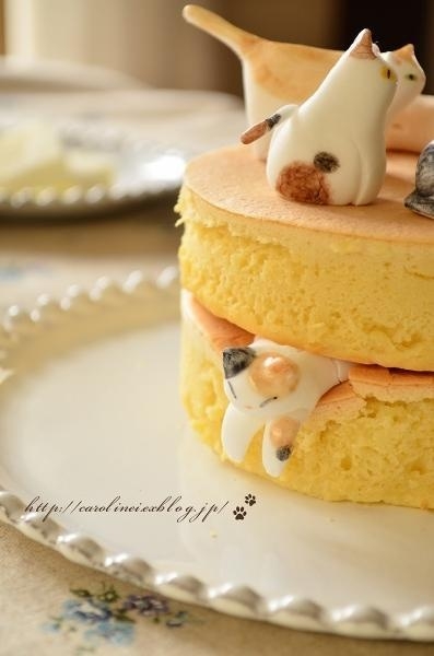 поговорим о кошках