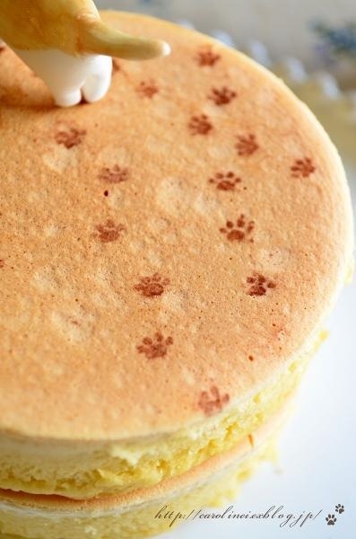 поговорим о кошках