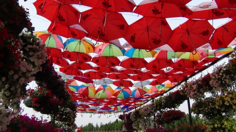 Дубаи, Miracle Garden