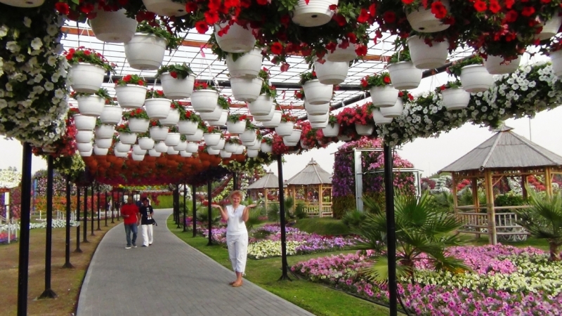 Дубаи, Miracle Garden