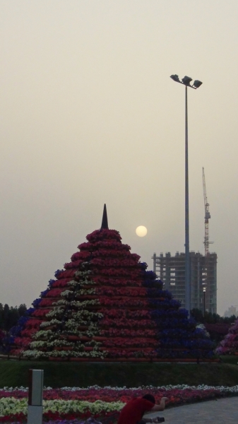 Дубаи, Miracle Garden