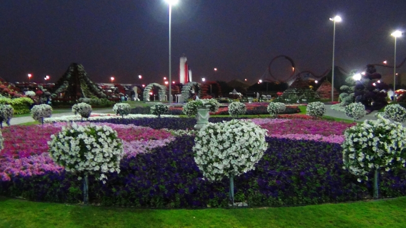 Дубаи, Miracle Garden