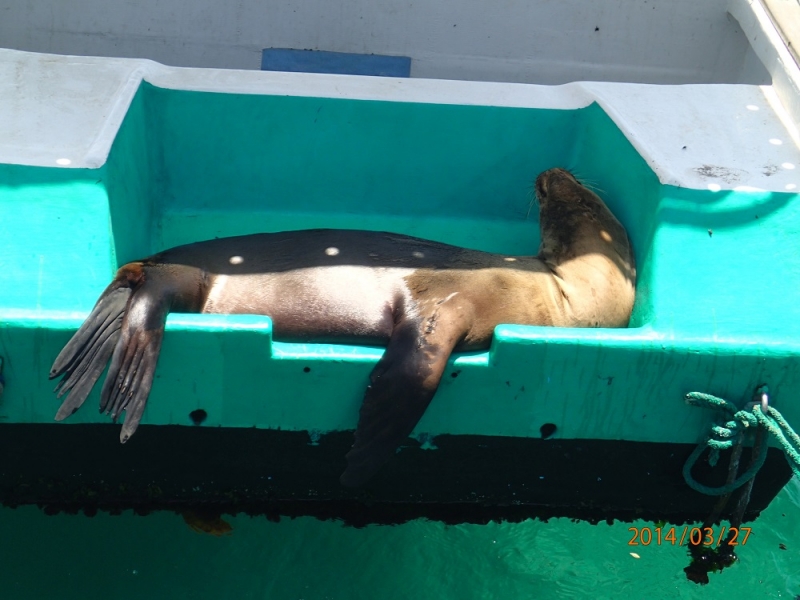 Галапагосы