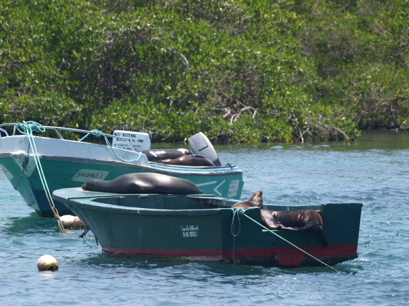 Галапагосы