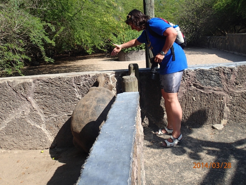 Галапагосы