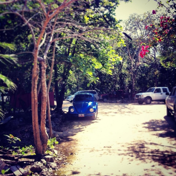 Длинное роуд-муви: спонтанный трип через Юкатан в Белиз и обратно (много фото)