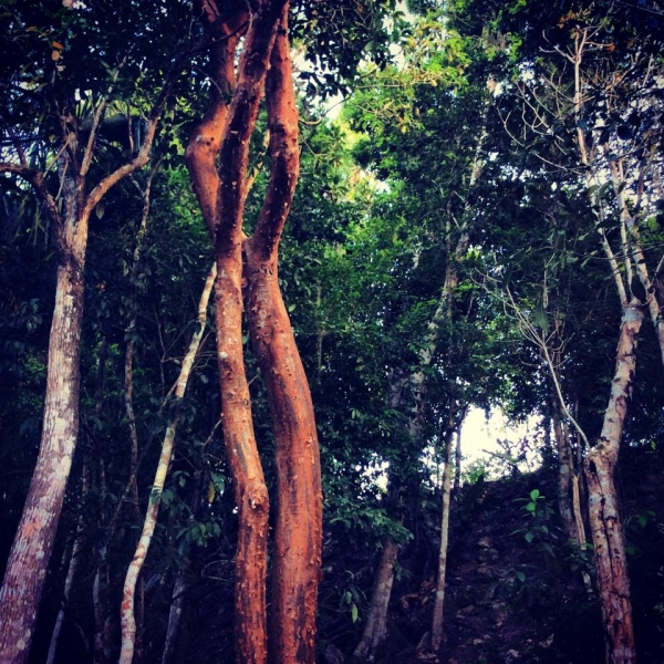 Длинное роуд-муви: спонтанный трип через Юкатан в Белиз и обратно (много фото)