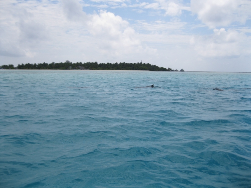 "Экскурсионные Мальдивы": Мале-Виллингили-Маафуши-Фихалхохи-Мале-Хулумале