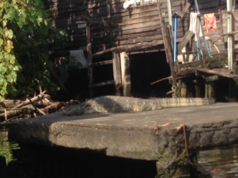 Фридайвинг-путешествие по островам: Тао - Липе - Симиланы