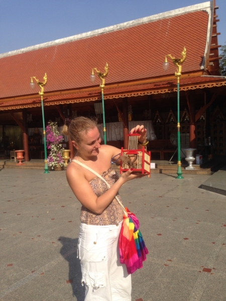 Фридайвинг-путешествие по островам: Тао - Липе - Симиланы