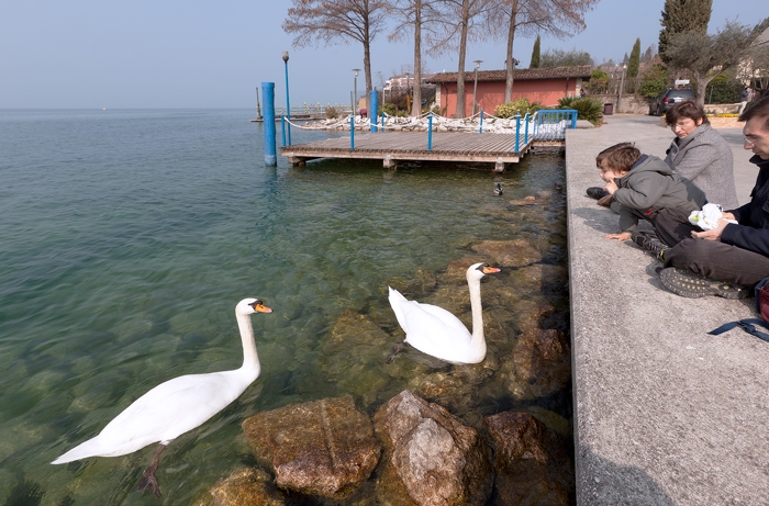 Римини-Сан Марино-Венеция-оз.Гарда на авто. Полезные ссылки. Фото. Март 2014