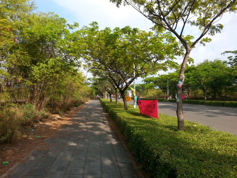 "Экскурсионные Мальдивы": Мале-Виллингили-Маафуши-Фихалхохи-Мале-Хулумале