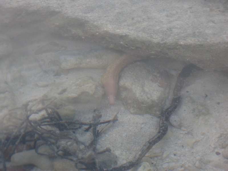 Мальдивы для галочки...