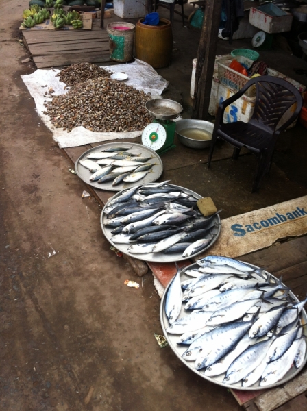 Март 2014: Фукуок- Хошимин- Начанг- Хошимин