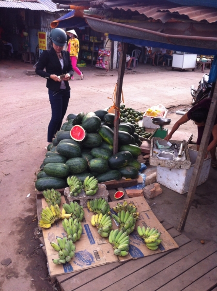 Март 2014: Фукуок- Хошимин- Начанг- Хошимин