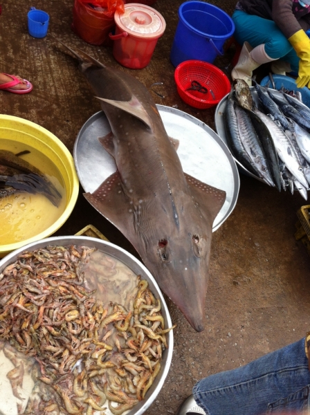 Март 2014: Фукуок- Хошимин- Начанг- Хошимин