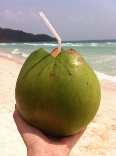 Март 2014: Фукуок- Хошимин- Начанг- Хошимин