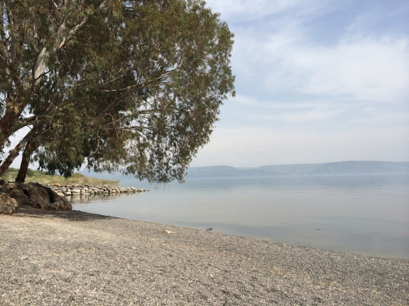 По стопам Иисуса Христа и библейской истории