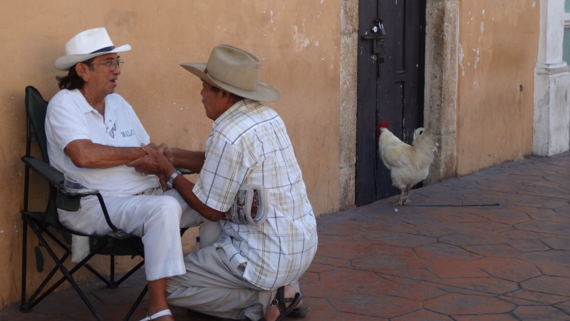 Путешествие по Мексике (март 2014 г.)
