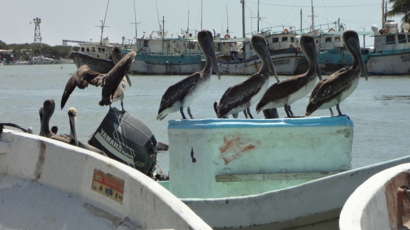 Путешествие по Мексике (март 2014 г.)