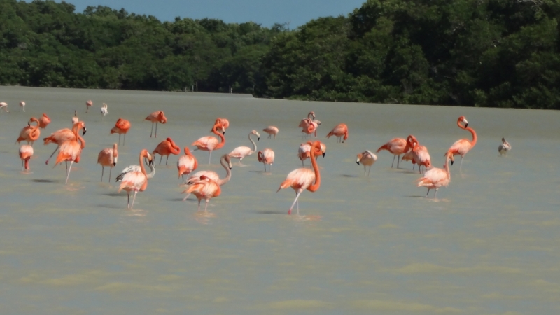 Путешествие по Мексике (март 2014 г.)
