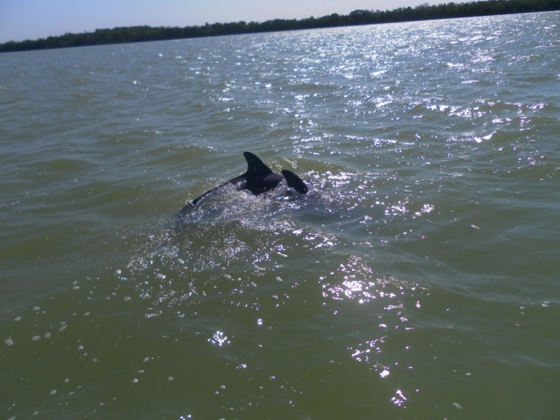 Путешествие по Мексике (март 2014 г.)
