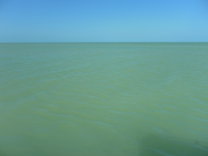 Путешествие по Мексике (март 2014 г.)