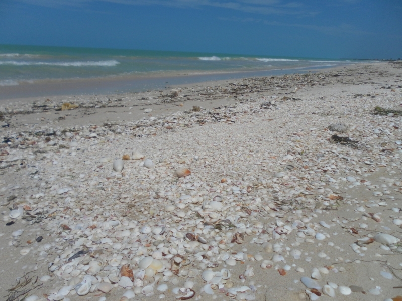 Путешествие по Мексике (март 2014 г.)