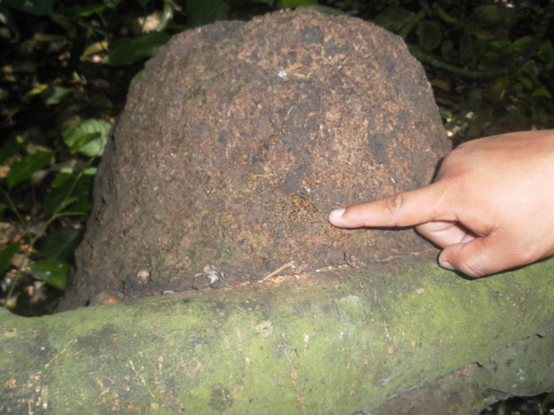 Путешествие по Мексике (март 2014 г.)