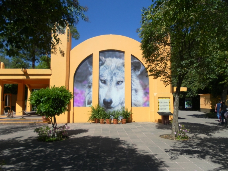 Путешествие по Мексике (март 2014 г.)