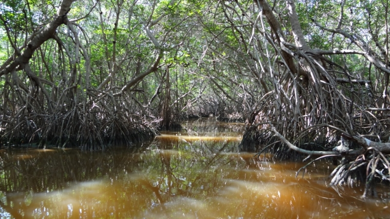 Путешествие по Мексике (март 2014 г.)