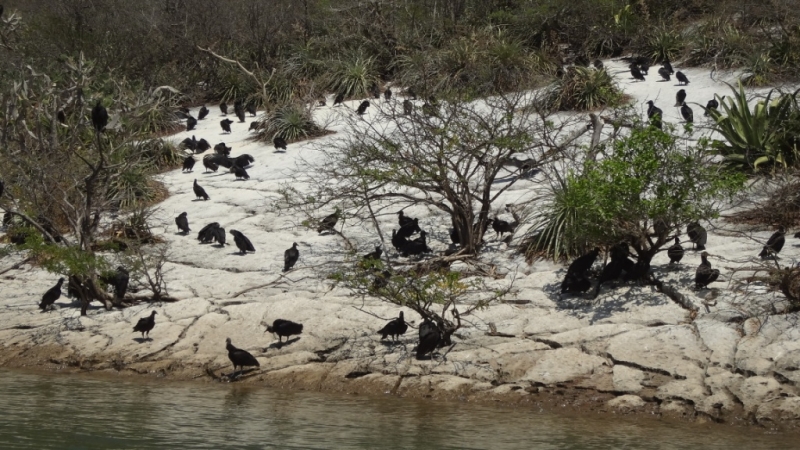 Путешествие по Мексике (март 2014 г.)