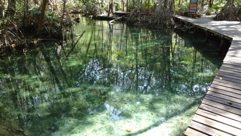 Путешествие по Мексике (март 2014 г.)